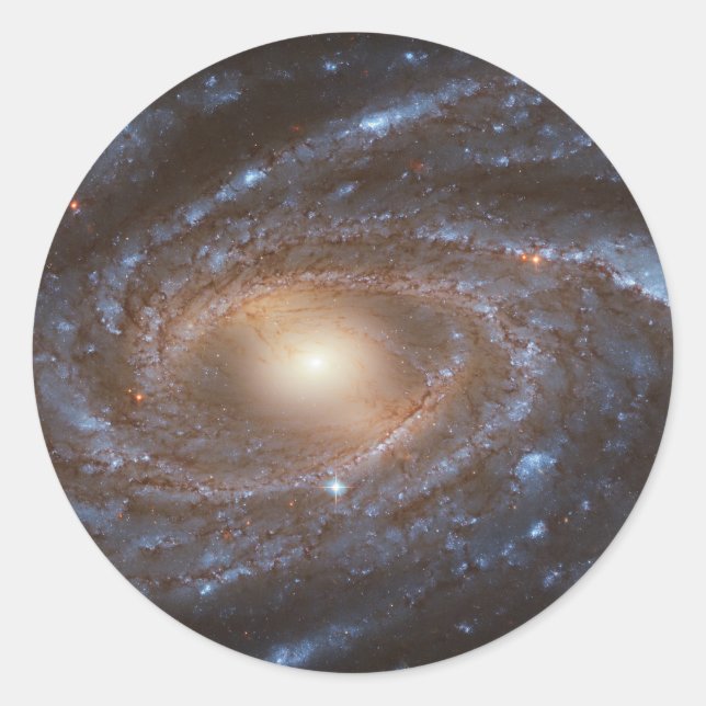 Galaxy NGC 2336 Stickers (Front)
