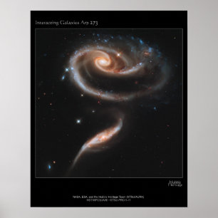 Galaxy Rose Poster