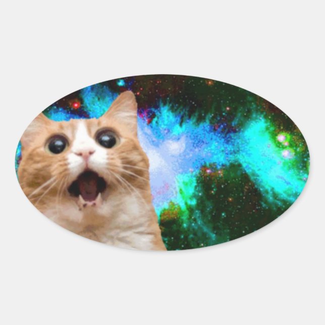 GALAXY SPACE CAT OVAL STICKER (Front)