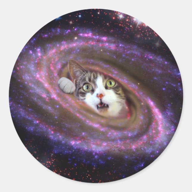 Galaxy Space Cats LOL Funny Sticker (Front)
