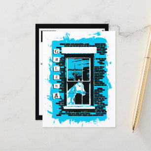 galena illinois window horse postcard