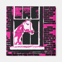 galena window horse
