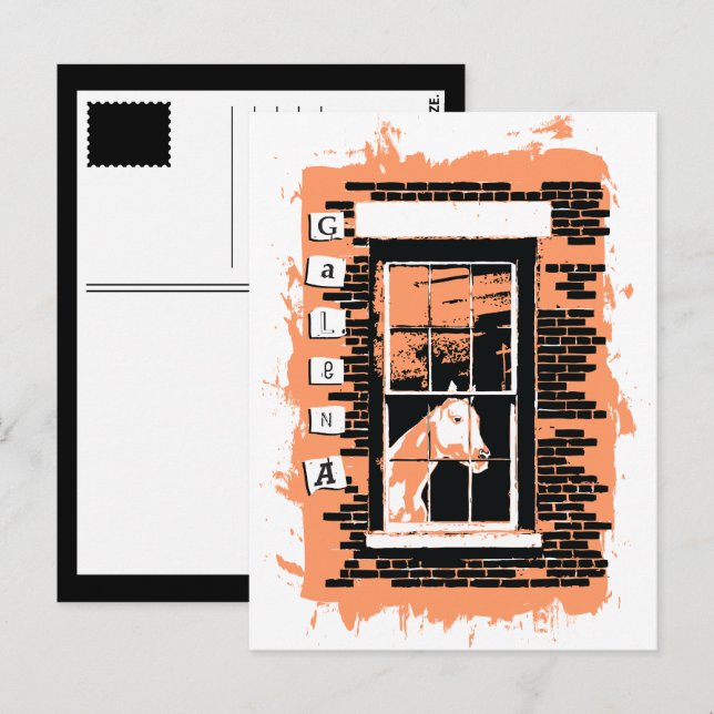 galena window horse postcard (Front/Back)