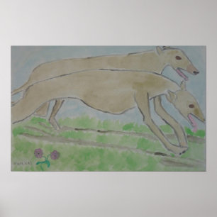 galgo/greyhound poster