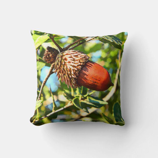 Galilee Acorn Cushion (Front)