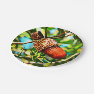 Galilee Acorn Paper Plate