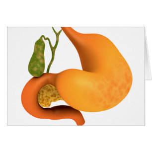 Gall Bladder With Stomach