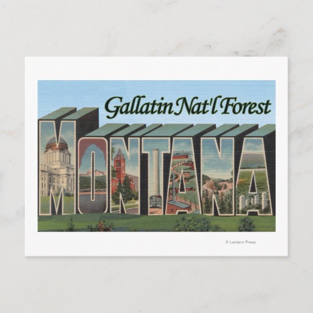 Gallatin Nat'l Forest, Montana Postcard (Front)