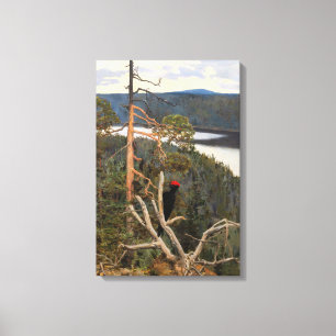 Gallen-Kallela - Great Black Woodpecker 1894 Canvas Print