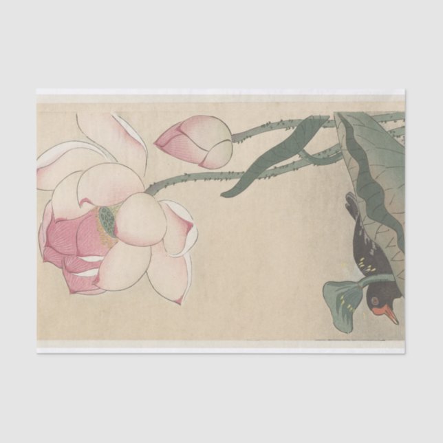 Gallinule With Lotus Flowers by Ohara Koson Tissue Paper (Front)