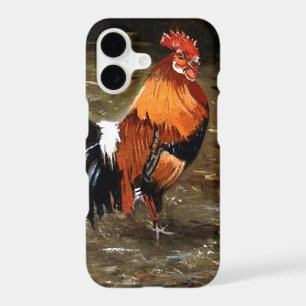 Gallo