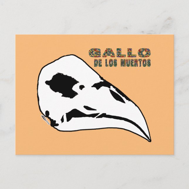 Gallo De Los Muertos Postcard (Front)