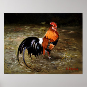 Gallo/Gallo/Rooster Poster