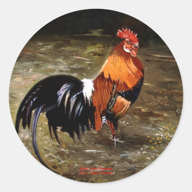 Gallo/Galo/Rooster Classic Round Sticker (Front)