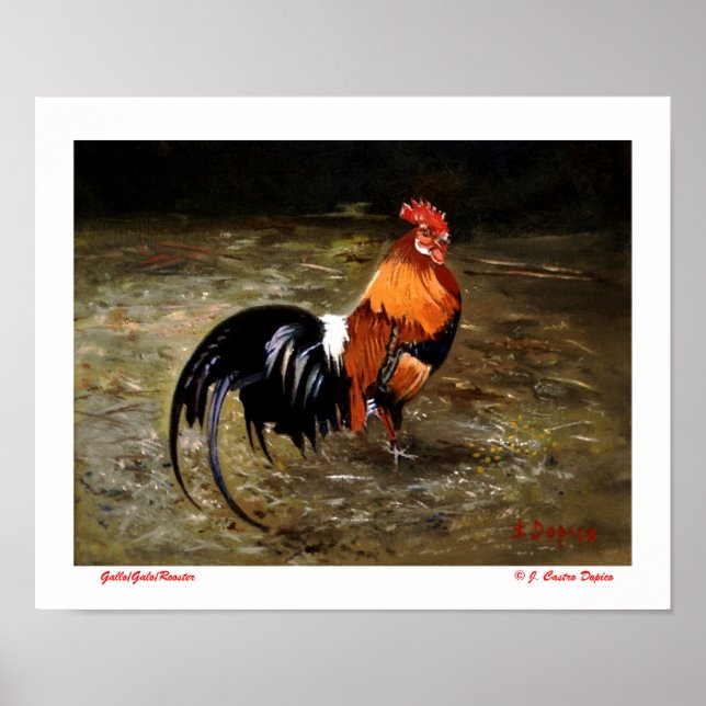 Gallo Poster (Front)