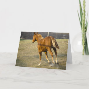 Gallop Away Card