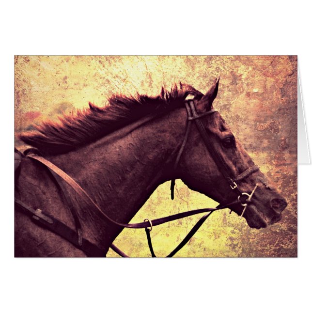 Gallop Grunge (Front Horizontal)