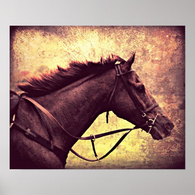 Gallop Grunge Poster (Front)