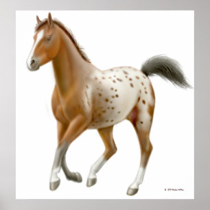 Galloping Appaloosa Horse Print