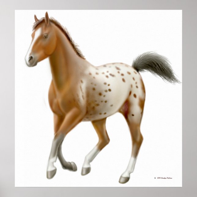 Galloping Appaloosa Horse Print (Front)