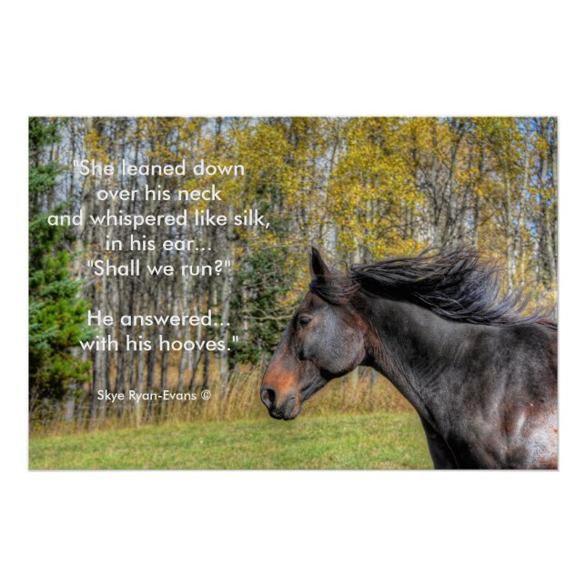 Galloping Black Horse and Horse-lovers Equine Poem Poster (Front)
