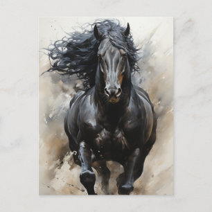 Galloping Black Horse Postcard