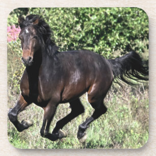 Galloping Chestnut Horse Coaster