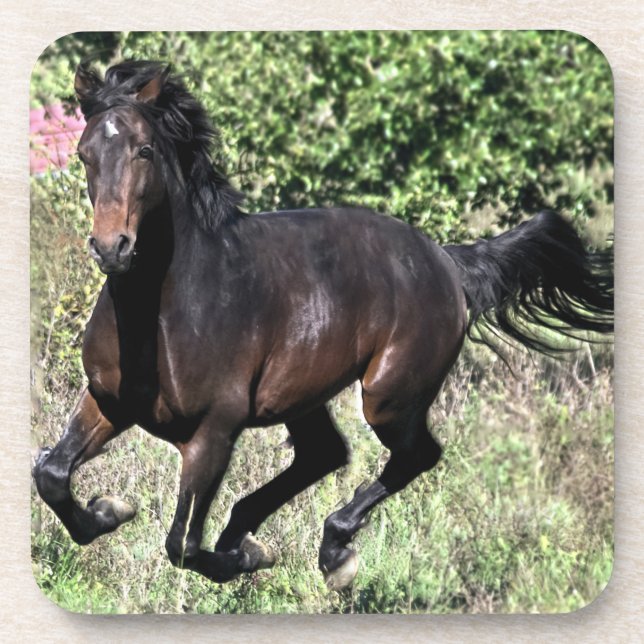 Galloping Chestnut Horse Coaster (Front)