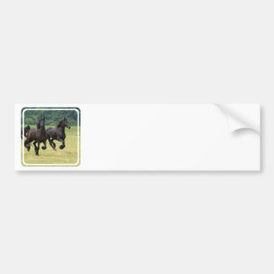 Galloping Friesian Horses  Bumper Sticker