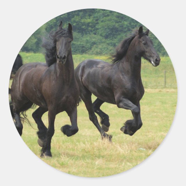 Galloping Friesian Horses  Stickers (Front)