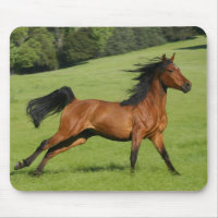 Galloping Horse Mousepad