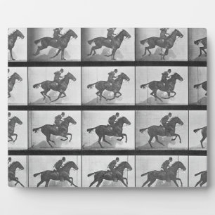 Galloping Horse, plate 628 from 'Animal Locomotion Plaque