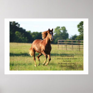 Galloping Horse Poster Print