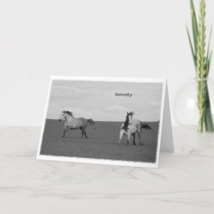 Galloping Horses in Pasture Greeting Card