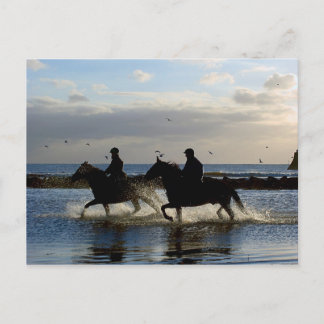 Galloping Horses Postcard