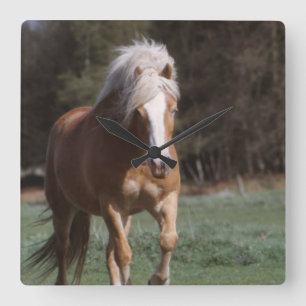 Galloping Palomino Wall Clock