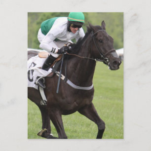 Galloping Race Horse Postcard