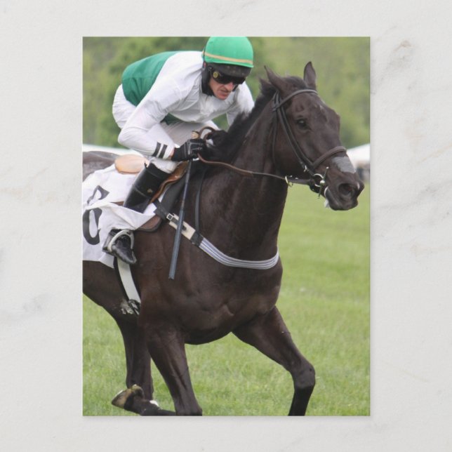 Galloping Race Horse Postcard (Front)
