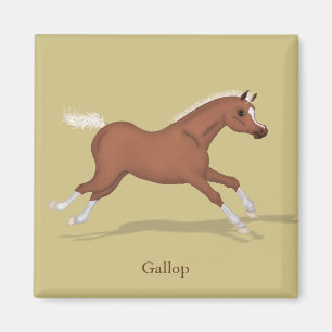 Galloping Sorrel Foal Gaits of the Horse Magnet