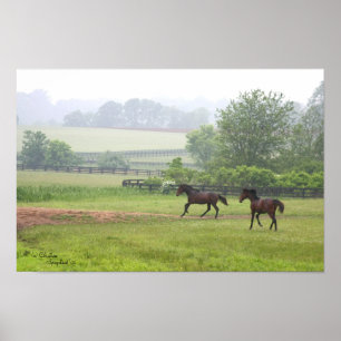 Galloping Standardbred Horses Poster