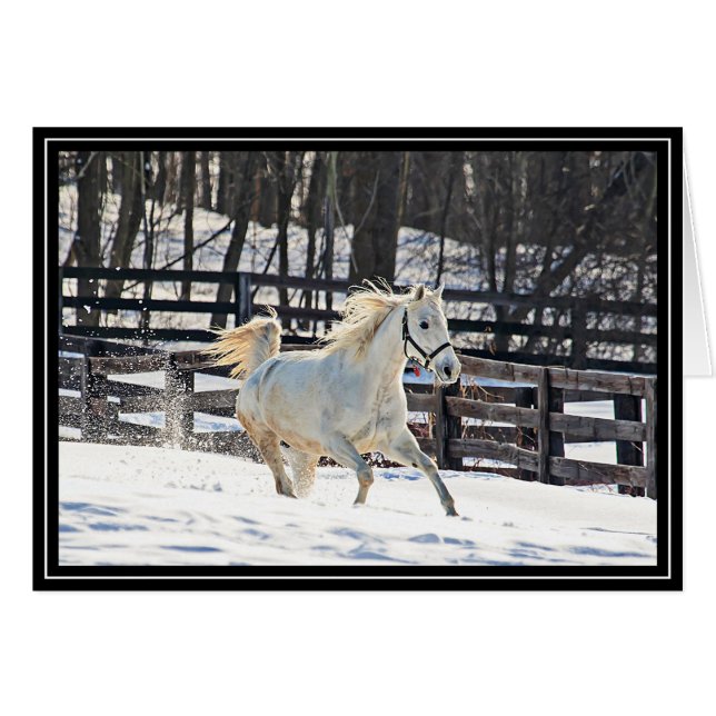 Galloping White Horse (Front Horizontal)