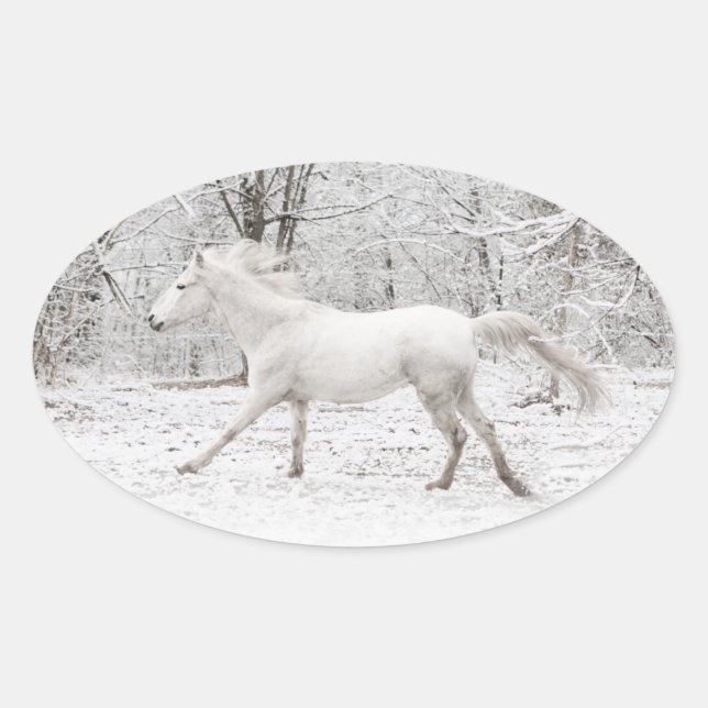 Galloping White Horse in the Snow Oval Sticker (Front)