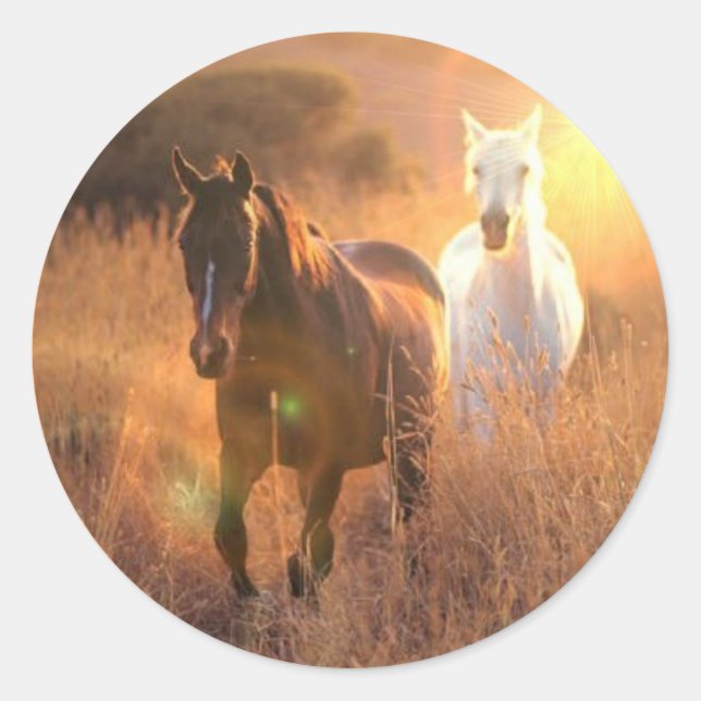 Galloping Wild Horses Stickers (Front)