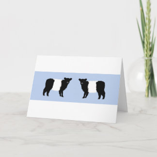 Galloway calf brthday card