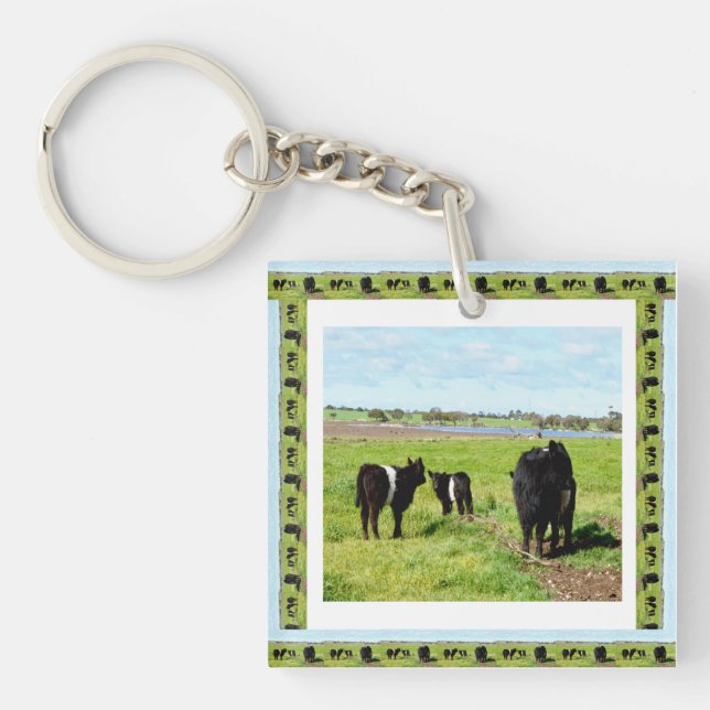Galloway Cows Framed, Keyring (Front)