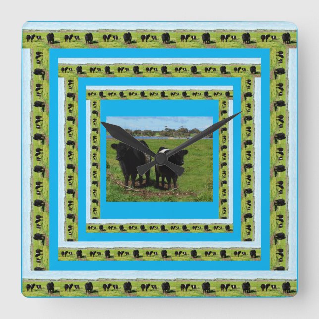 Galloway Cows In Galloway Cow Frames, Square Wall Clock (Front)