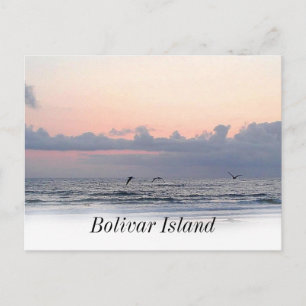 Galveston beach Bolivar Island Postcard