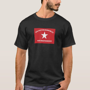 Galveston Invincibles Flag Texas Republic Flag Al T-Shirt