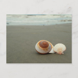 Galveston Island Postcard