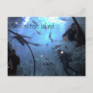 Galveston Island Postcard